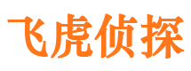 樊城市调查公司